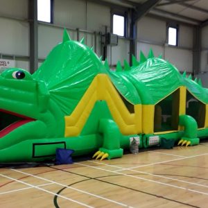 kerry bouncy castles the croc