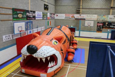The tiger Kerry Bouncy castles