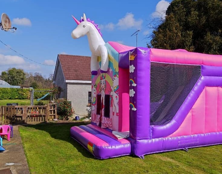 Unicorn Tom 1 (2)
