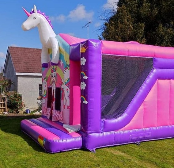 Unicorn Tom 1 (3)